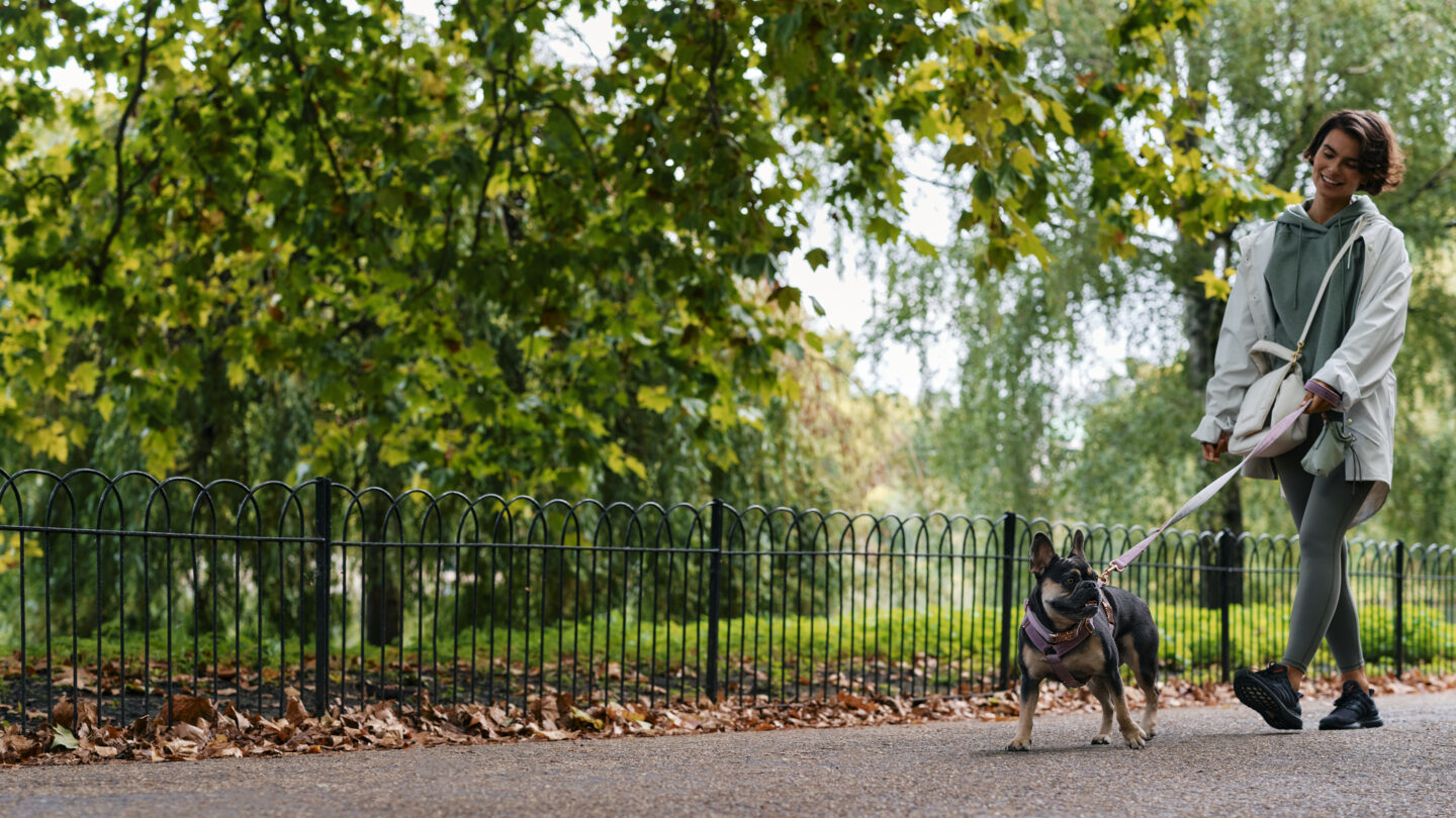 Woman walks dog in London park